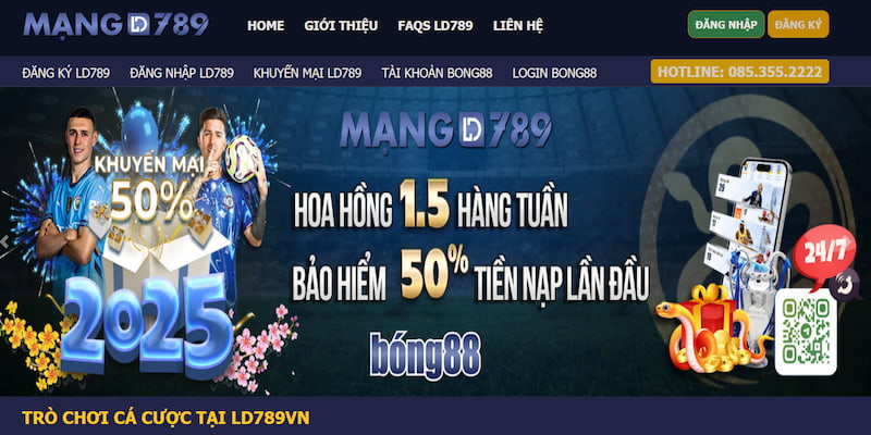 Giới thiệu tổng quan về nền tảng cá cược bóng đá LD789