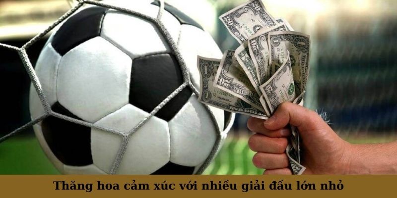 Thăng hoa cảm xúc với nhiều giải đấu lớn nhỏ cả trong và ngoài nước